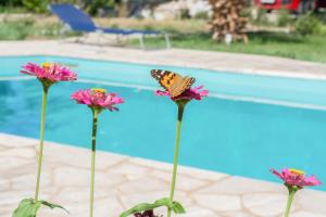 Doroufi Inn Argolida Greece