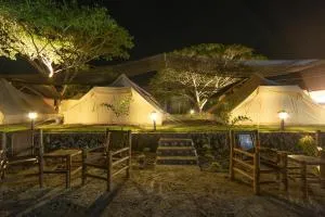 The Acacia Glamping Park - Sagbayan