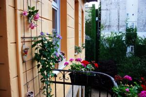 New, Raday Danube Unit