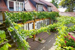 4 hvězdičkový hotel halbersbacher. hotel annaberg Bad Dürkheim Německo