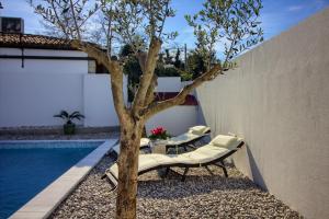 Cozy villa Michelle with private pool near Pula