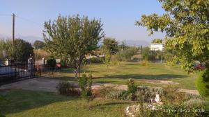 Villa Elly
