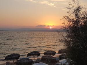 Amphitriti Hotel Rhodes Greece