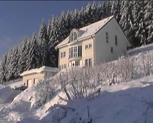 Apartmán Ferienwohnung Haus Waldesruh Olsberg Německo