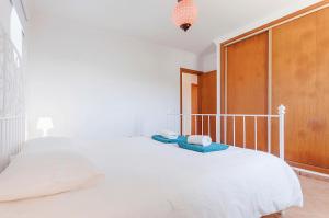 Apartment Praia da Arrifana!