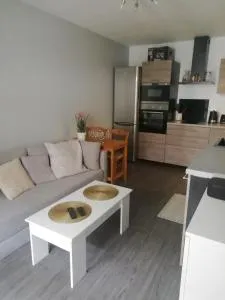 T2 chaleureux sur talence - 格拉迪尼昂