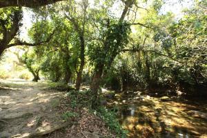 POUSADA DAS ORQUIDEAS20