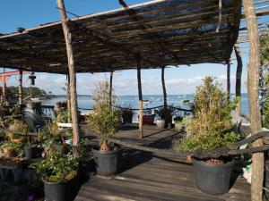 Maisons de vacances Maison Bassin d'Arcachon - Ares - Proche plage et commerces, 3 chambres, 8 personnes, Climatisation : Maison 3 Chambres
