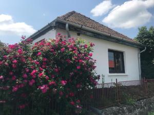 Vasaras māja Rozsa House Kisbárkány Ungārija