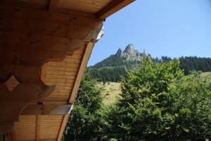 Maisons de vacances Chalet traditionnel Alpes : photos des chambres