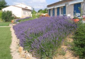 B&B / Chambres d'hotes Les Tourterelles : photos des chambres