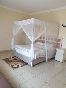 Home Up Guest Apartments and Lodge