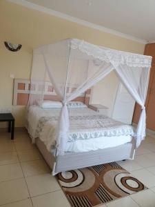 Home Up Guest Apartments and Lodge