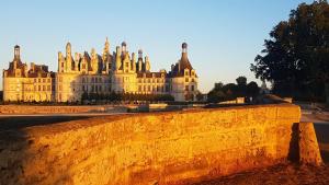 B&B / Chambres d'hotes Chambre d'hote Montlivault / Chambord : photos des chambres