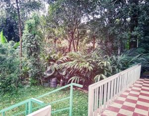 Hill Mist Thekkady