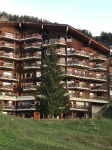 Anzère skis - promenade