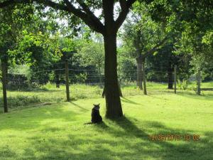 B&B / Chambres d'hotes Le Moulin de l`Epinay : photos des chambres