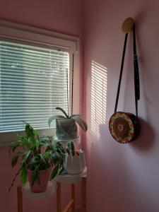 Appartamento CasaPì