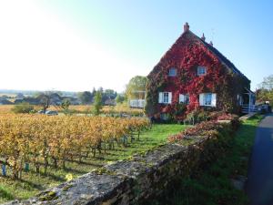 La Passerelle des Corton B&B photo 12