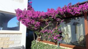 B&B La Posada Stintino img8