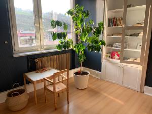 Apartament Przy Rynku