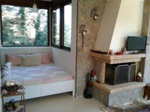 Elatos cozy Studio Orini-Korinthia Greece