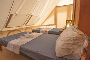 The Acacia Glamping Park