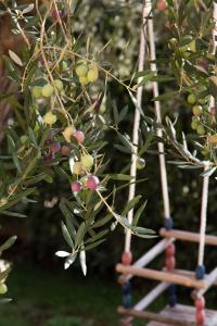 Apartments Filip & Tara