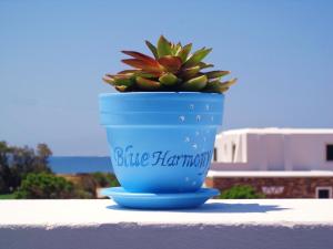 Blue Harmony Apartments Naxos Greece