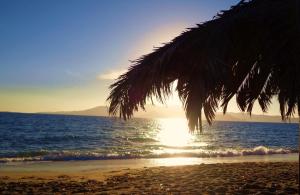 Blue Harmony Apartments Naxos Greece