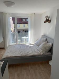 1-Zi. Apartment, Echterdingen bei FlughafenMesse Stgt.