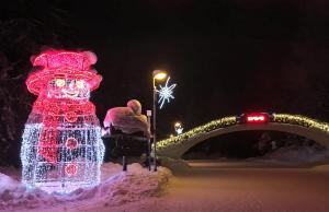 Apartmán Crocus 313