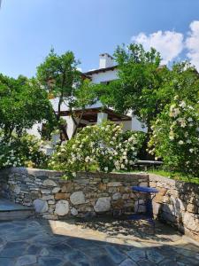 Aeolos Hotel & Villas - Pelion Pelion Greece