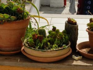 Trullo Chiari di Bosco