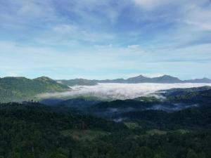 Green View Holiday Resort