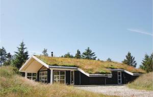 Three-Bedroom Holiday Home In Blokhus