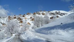 Appartements Chalet Le Villarais : photos des chambres