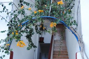 Sailors Apartments Lasithi Greece