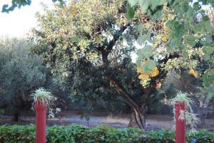 Sailors Apartments Lasithi Greece