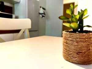 Appartements RUBIS APPARTEMENT : photos des chambres