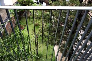 Kaia Residence Danang Quiet Garden