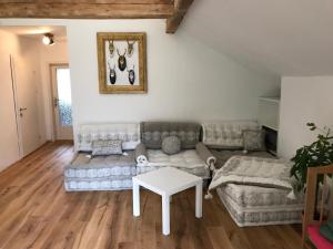 Apartmán Villa Nussbaum Golling an der Salzach Rakousko