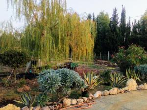 Il Giardino delle Rose A img68