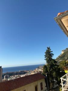 Appartements New Monaco Penthouse Stunning sea view : photos des chambres