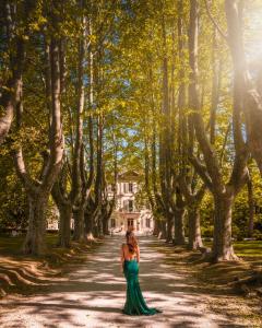 Hotels Hotel Chateau Des Alpilles : photos des chambres