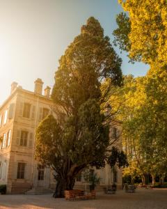 Hotels Hotel Chateau Des Alpilles : photos des chambres