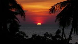 Marind Dive Eco Resort Wakatobi