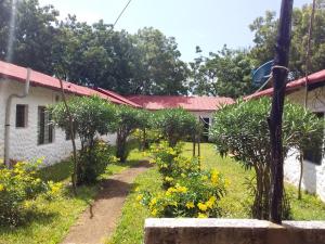 A Hotel Com Comba Bush Beach Cottages Bed And Breakfast Ukunda