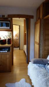 Joli petit appartement cosi 5 personnes maxi plein centre station les deux alpes