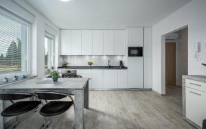 SOFIA house with apartment 